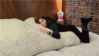 الفنانة اللبنانية إليسا تصدم محبيها بتصريحات ڼارية أعيش قصة حب