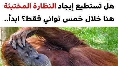 اختبر قوة انتباهك للتفاصيل واستخرج الأشياء المختفية  