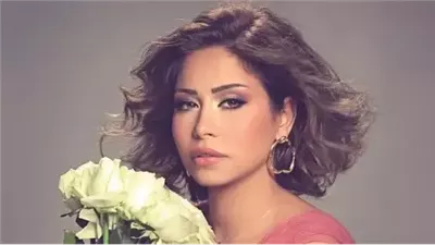 شقيق شيرين عبدالوهاب يدخل بقوة في أزمتها مع طليقها حسام حبيب