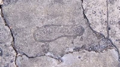 This Strange 15-Million-Year-Old Shoeprint Was Recentlч Discovered In Nevada  