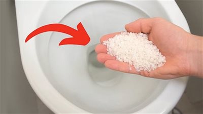 Put Salt In The Toilet. This Is Something That Plumbers Will Never Tell You