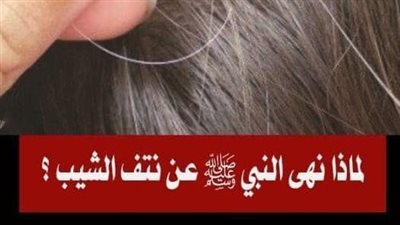 لماذا نهى النبي ﷺ عن نتف الشيب ؟ 