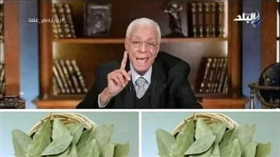 معجزة ورق الغار