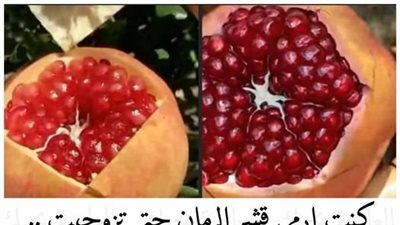 قشر الرمان