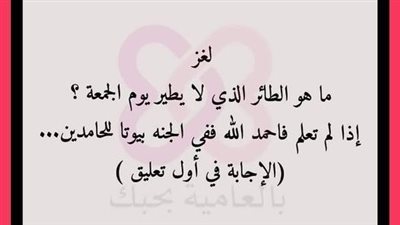 هذا الطائر الوحيد الذي لايطير يوم الجمعة